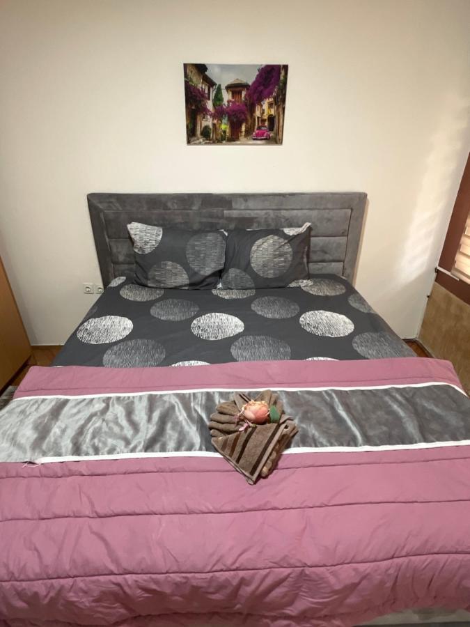Aloha Apartment Novi Pazar Extérieur photo